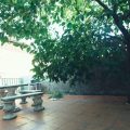 10. jardin